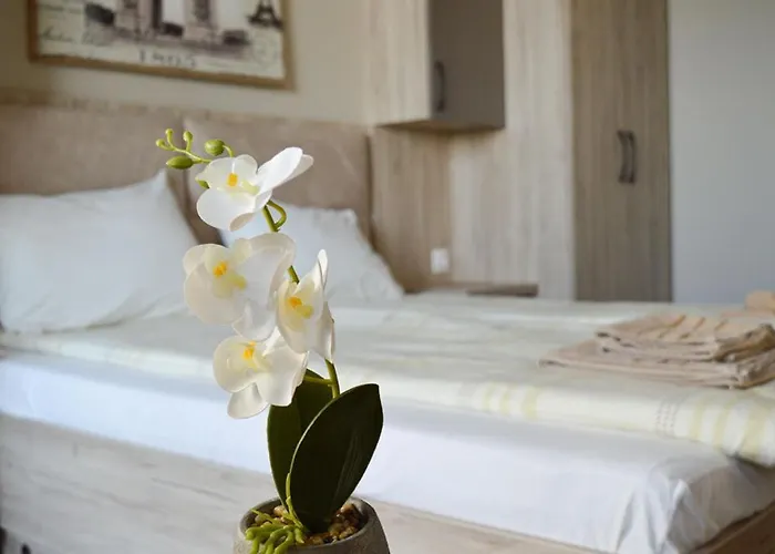 Riverview - Free Private Parking 普罗夫迪夫